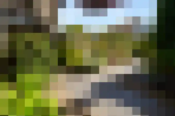 Kruidenlaan 166 Nijverdal thumbnail 37