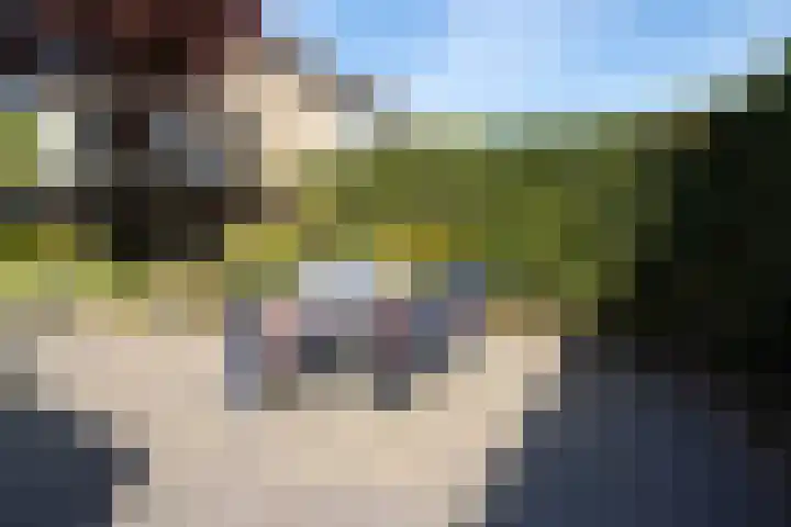 Kruidenlaan 166 Nijverdal thumbnail 39