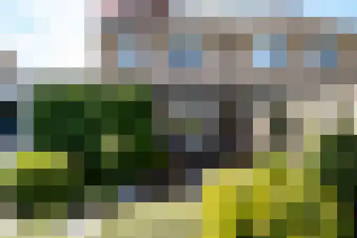 Kruidenlaan 166 Nijverdal thumbnail 41