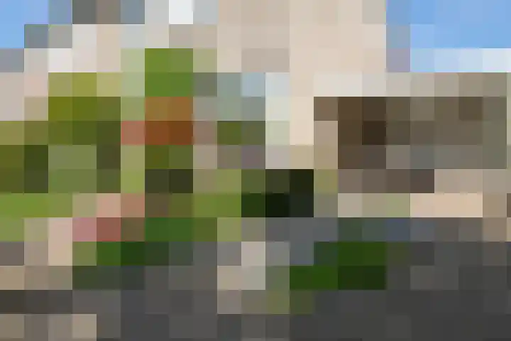 Kruidenlaan 166 Nijverdal thumbnail 42