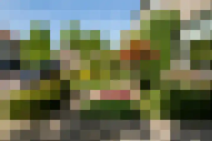 Kruidenlaan 166 Nijverdal thumbnail 43