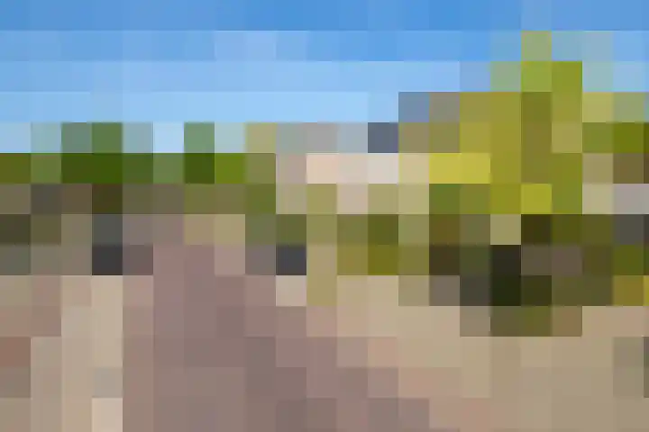 Kruidenlaan 166 Nijverdal thumbnail 45