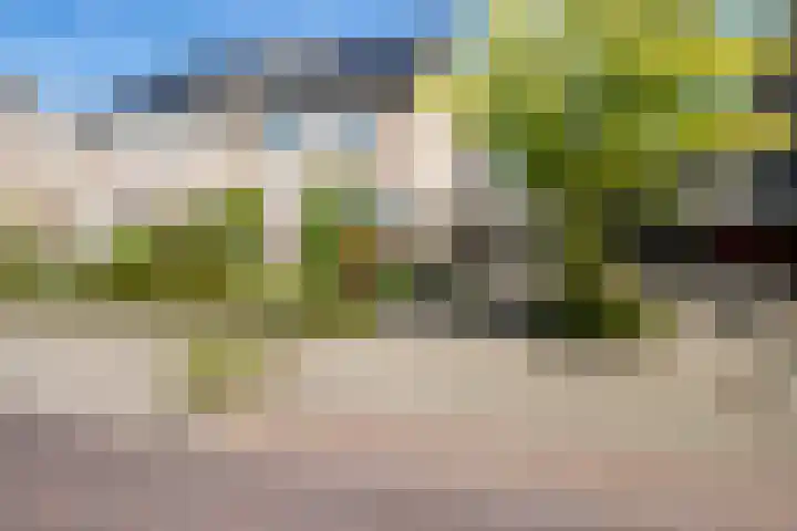 Kruidenlaan 166 Nijverdal thumbnail 49