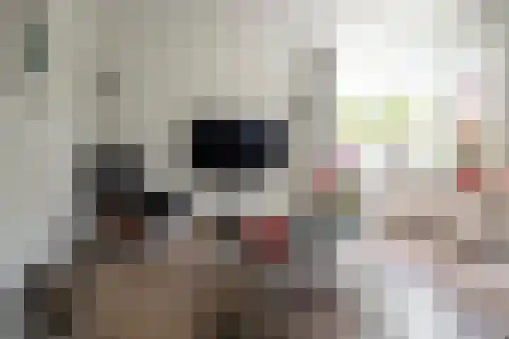 Kruidenlaan 166 Nijverdal thumbnail 8