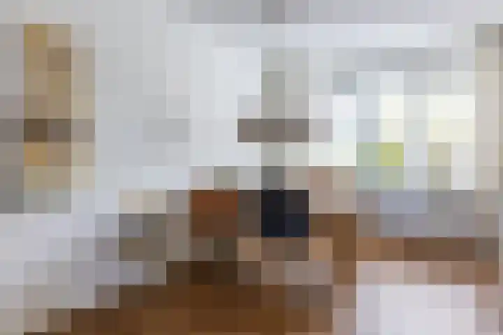 Kruidenlaan 17 Vroomshoop thumbnail 14