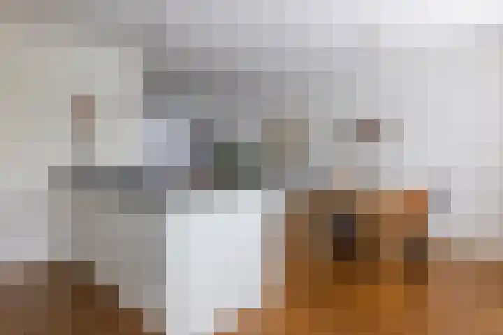 Kruidenlaan 17 Vroomshoop thumbnail 15