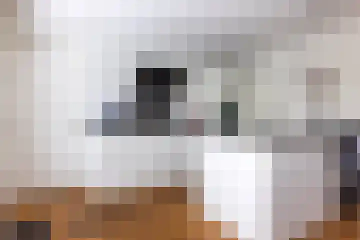 Kruidenlaan 17 Vroomshoop thumbnail 16