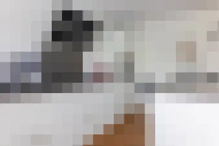 Kruidenlaan 17 Vroomshoop thumbnail 17
