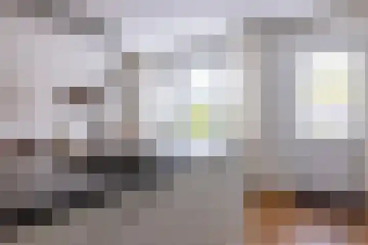Kruidenlaan 17 Vroomshoop thumbnail 18