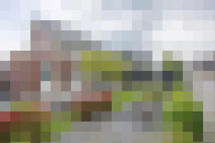 Kruidenlaan 17 Vroomshoop foto 2
