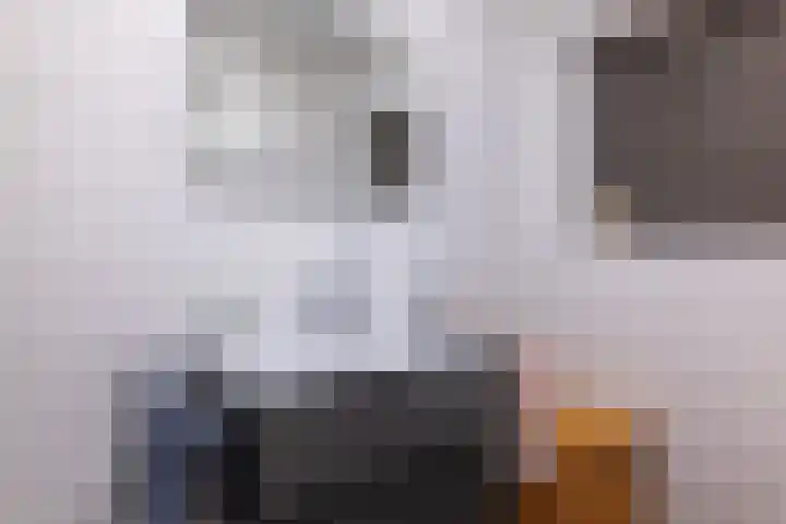 Kruidenlaan 17 Vroomshoop thumbnail 22