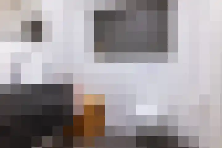 Kruidenlaan 17 Vroomshoop thumbnail 23