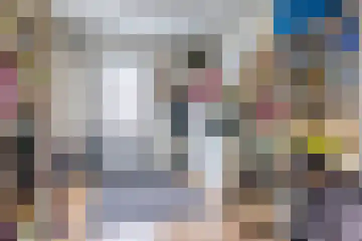 Kruidenlaan 17 Vroomshoop thumbnail 27