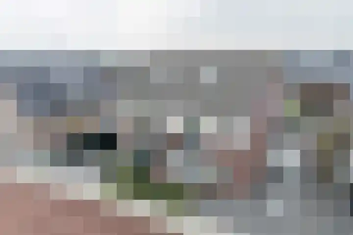 Kruidenlaan 17 Vroomshoop thumbnail 29