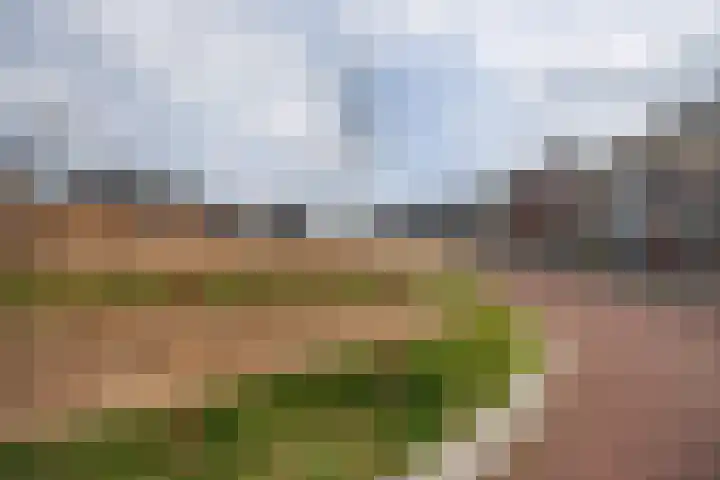 Kruidenlaan 17 Vroomshoop foto 3
