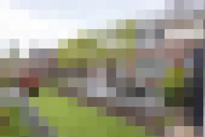 Kruidenlaan 17 Vroomshoop thumbnail 30