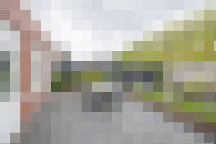 Kruidenlaan 17 Vroomshoop thumbnail 31