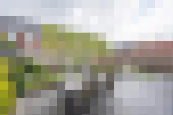 Kruidenlaan 17 Vroomshoop thumbnail 32