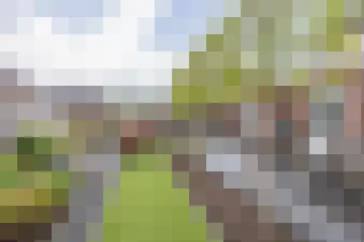 Kruidenlaan 17 Vroomshoop thumbnail 33