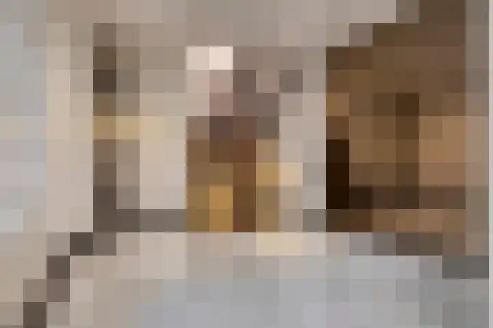 Kruidenlaan 17 Vroomshoop thumbnail 34