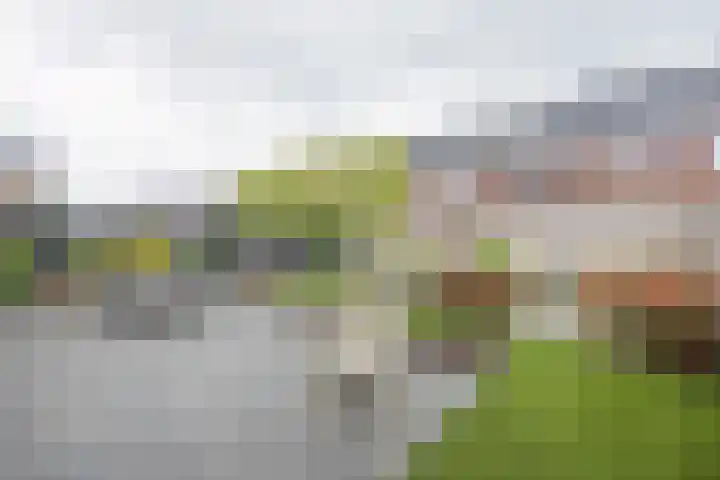Kruidenlaan 17 Vroomshoop thumbnail 34