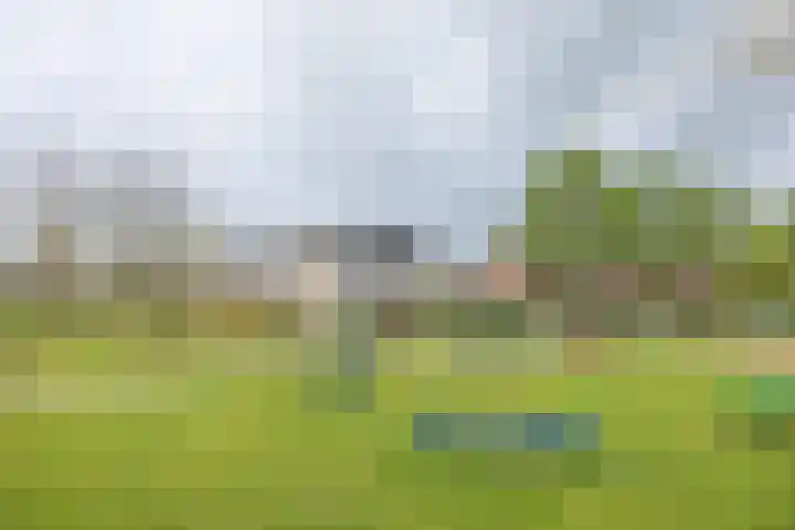 Kruidenlaan 17 Vroomshoop thumbnail 35