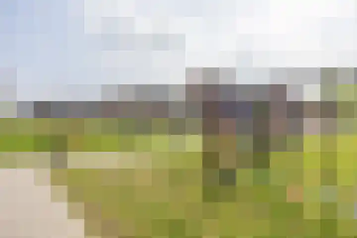 Kruidenlaan 17 Vroomshoop thumbnail 36