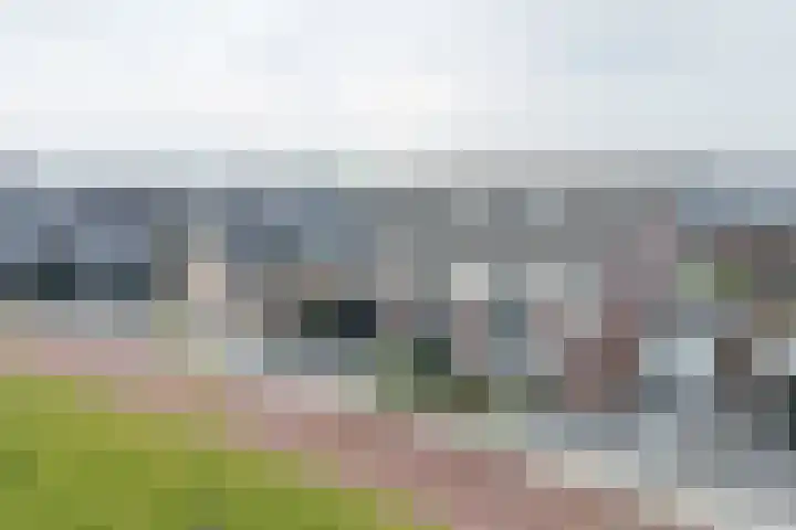 Kruidenlaan 17 Vroomshoop thumbnail 37