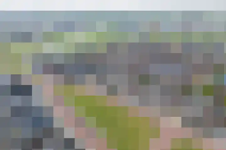 Kruidenlaan 17 Vroomshoop thumbnail 38