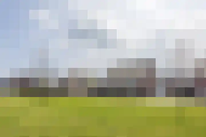 Kruidenlaan 17 Vroomshoop thumbnail 39