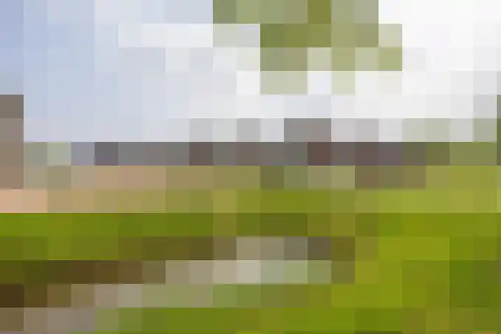 Kruidenlaan 17 Vroomshoop thumbnail 4