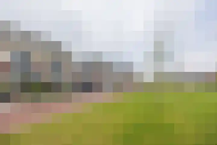Kruidenlaan 17 Vroomshoop thumbnail 40