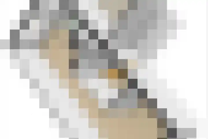 Kruidenlaan 17 Vroomshoop thumbnail 42