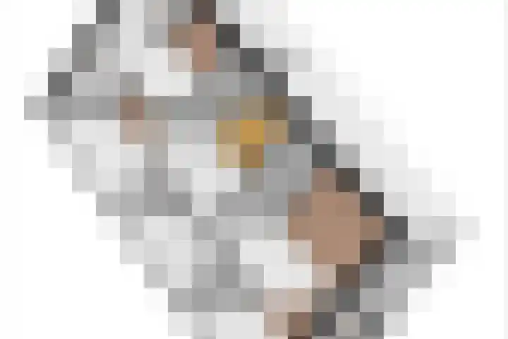 Kruidenlaan 17 Vroomshoop thumbnail 44