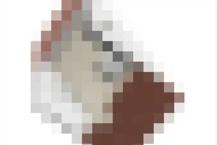 Kruidenlaan 17 Vroomshoop thumbnail 46