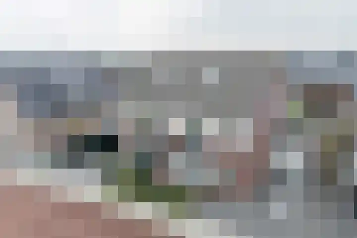 Kruidenlaan 17 Vroomshoop thumbnail 47