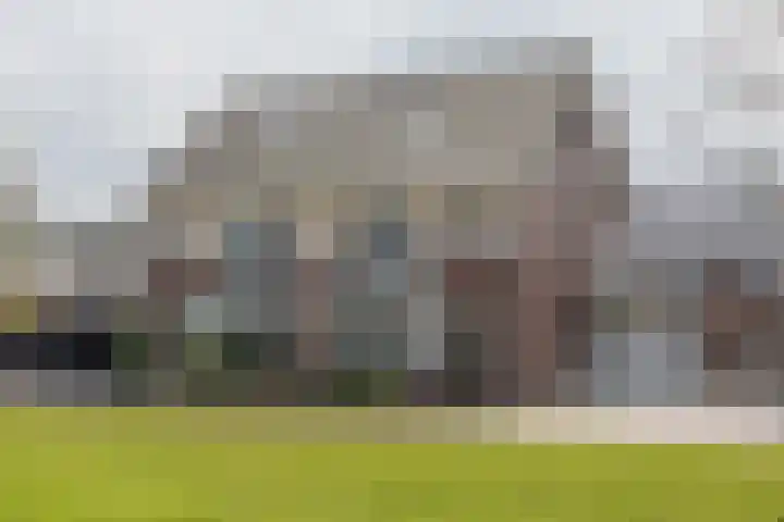 Kruidenlaan 17 Vroomshoop thumbnail 5