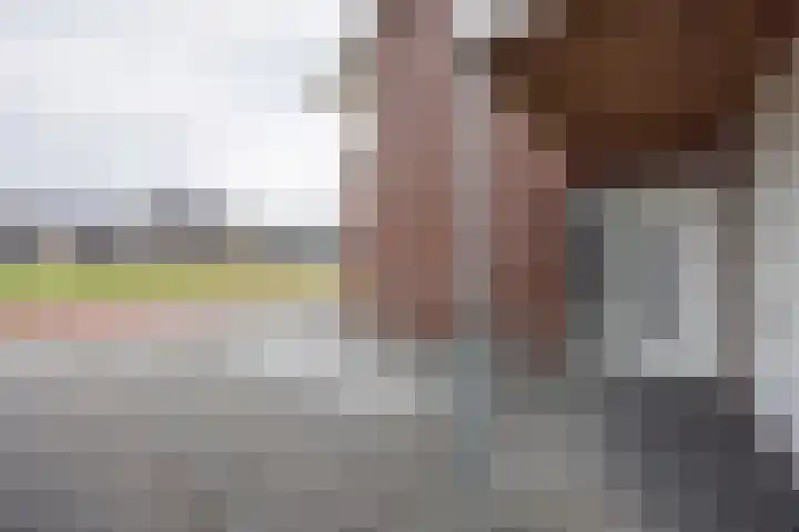 Kruidenlaan 17 Vroomshoop thumbnail 6
