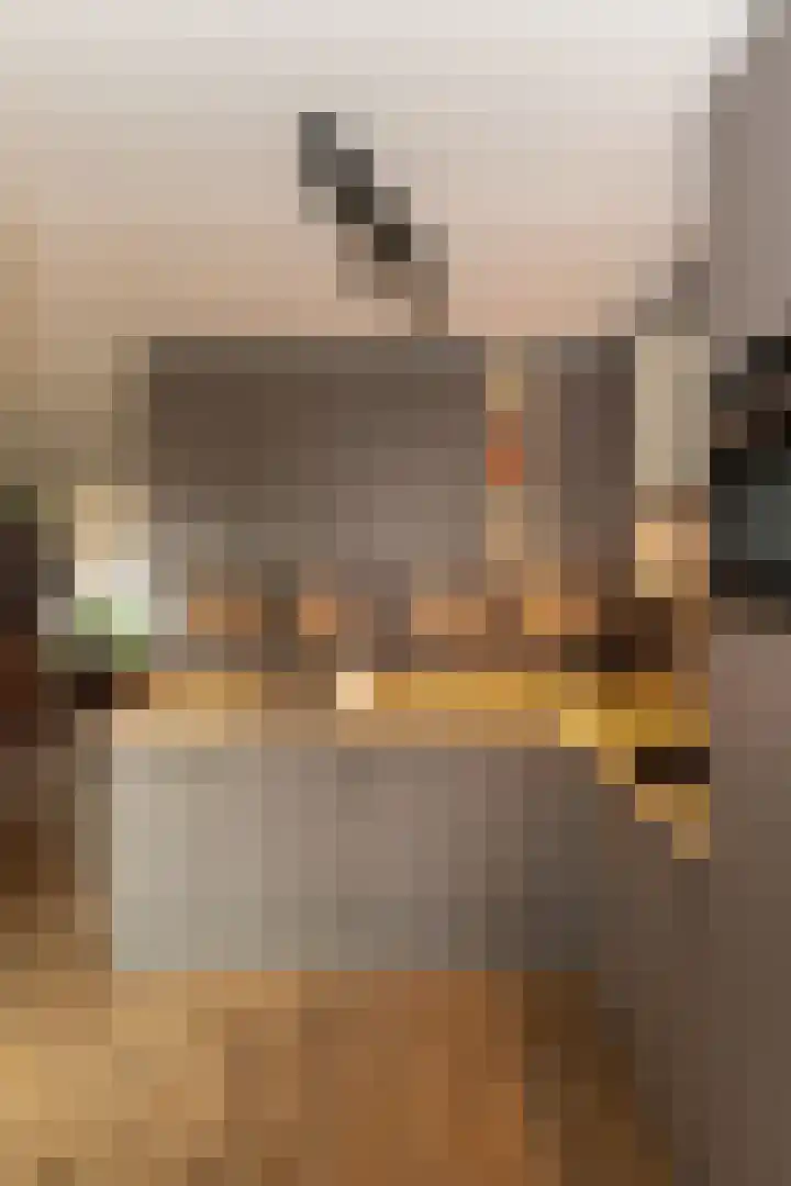 Kruidenlaan 180 Nijverdal thumbnail 13