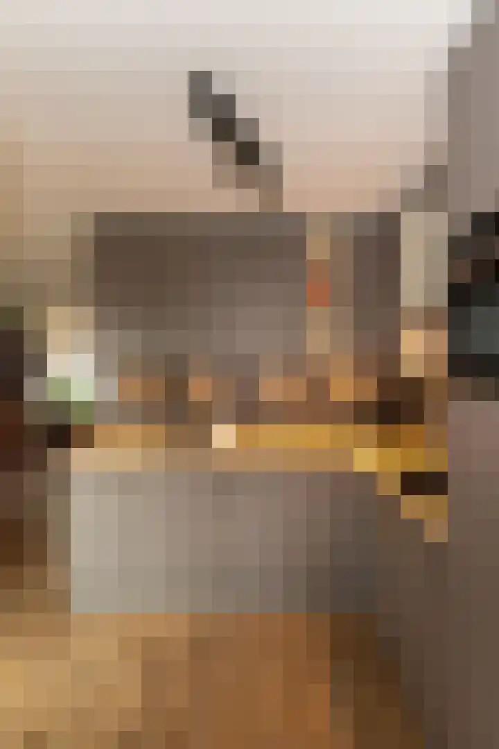 Kruidenlaan 180 Nijverdal thumbnail 13
