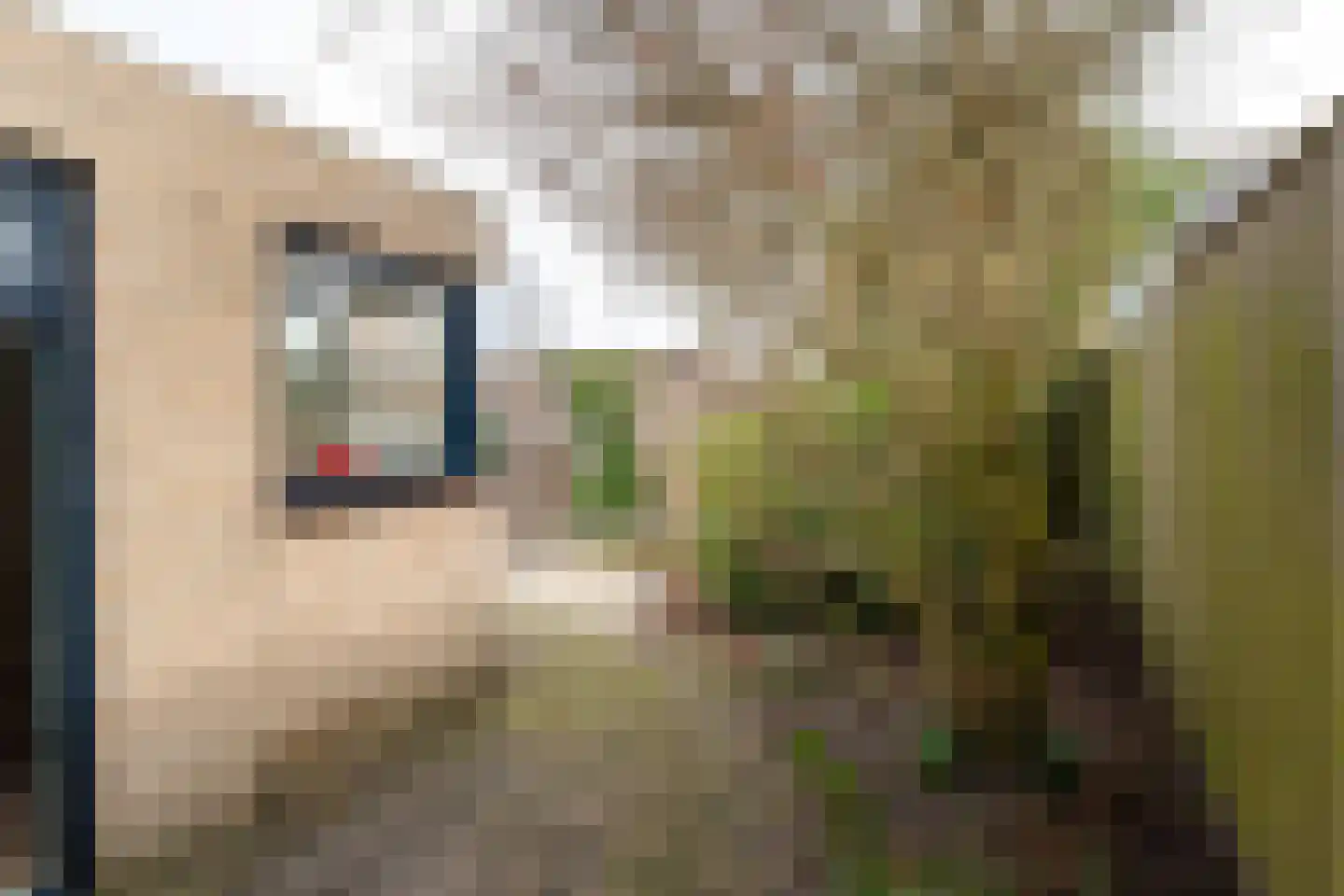 Kruidenlaan 180 Nijverdal thumbnail 38