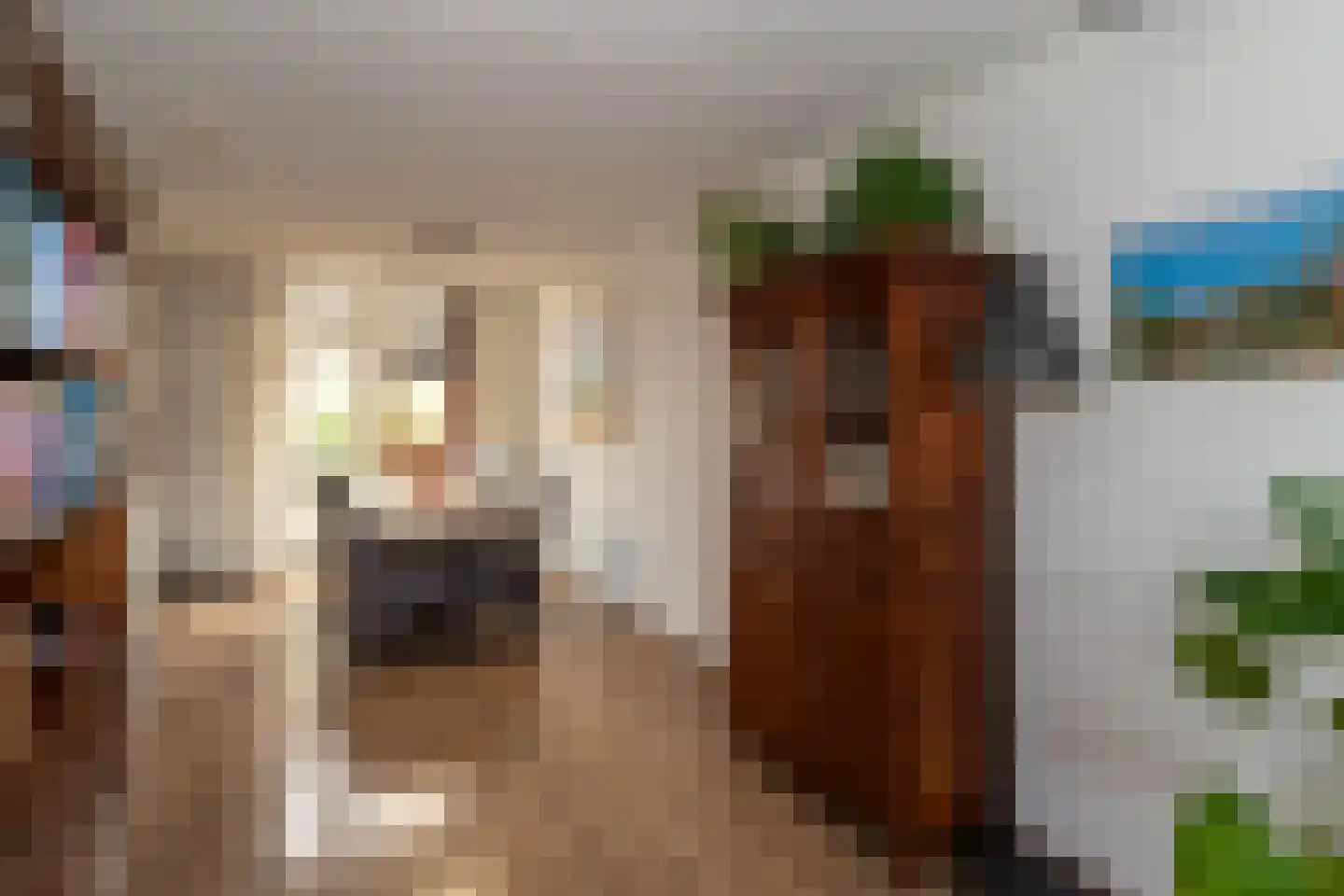Kruidenlaan 180 Nijverdal thumbnail 8