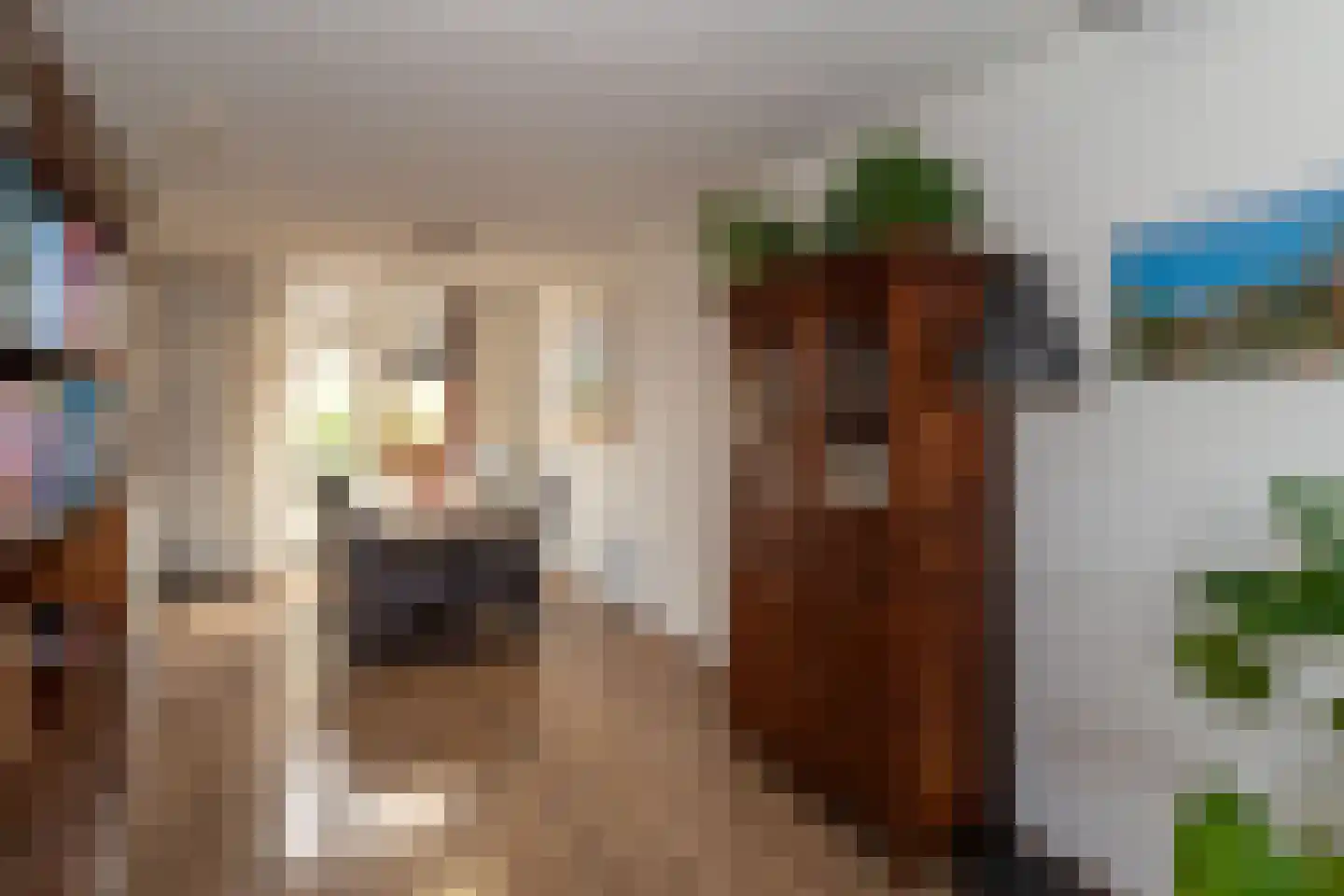 Kruidenlaan 180 Nijverdal thumbnail 8