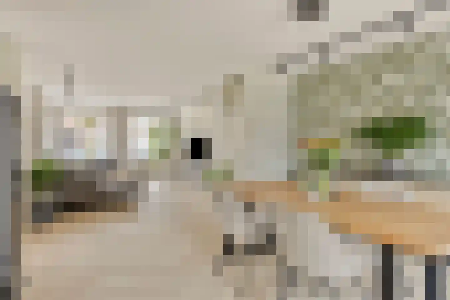 Kruidenlaan 197 Venray thumbnail 13