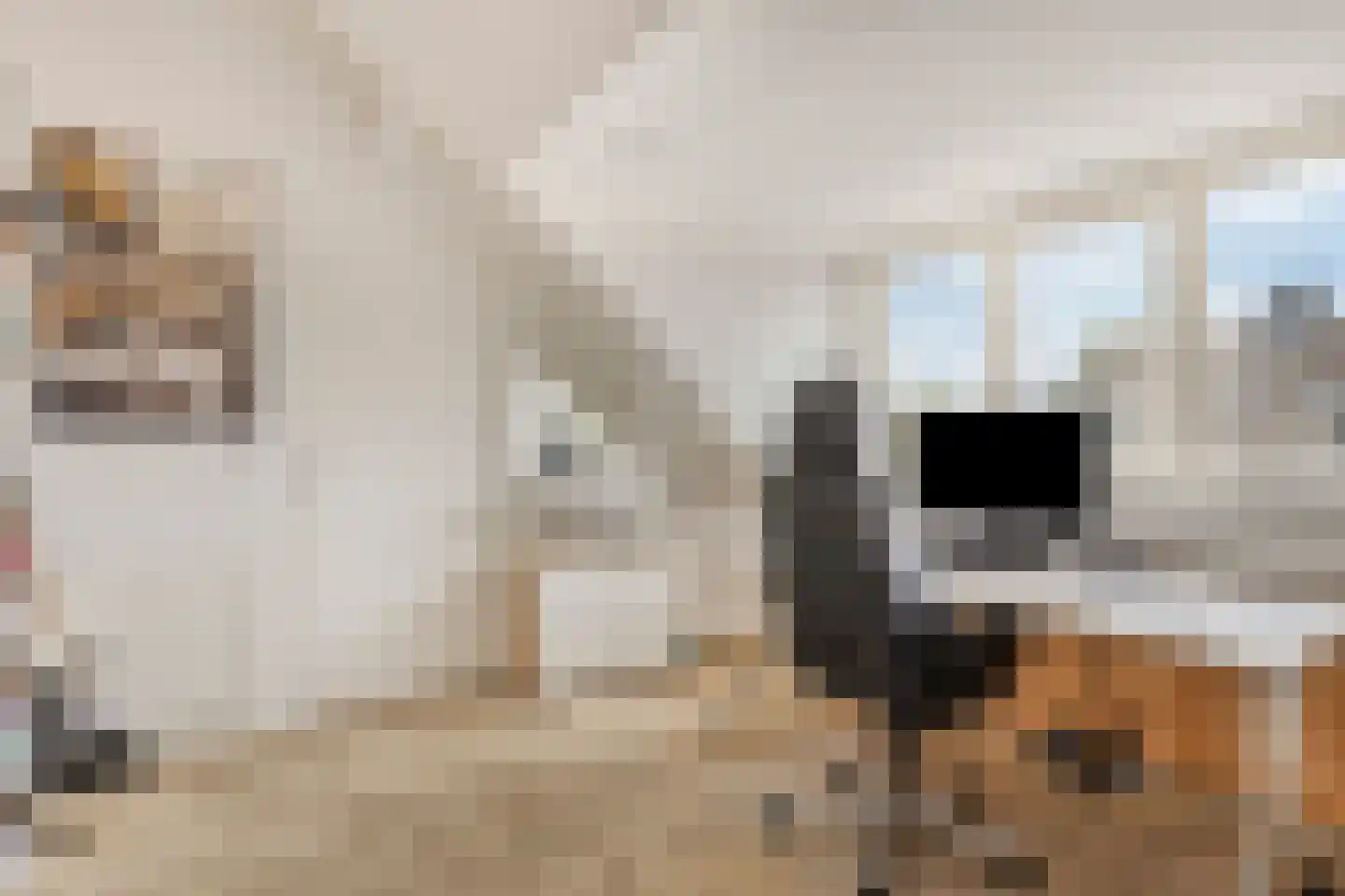 Kruidenlaan 197 Venray thumbnail 27