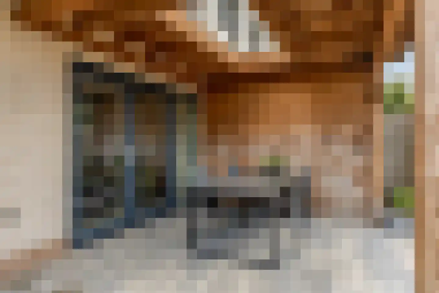 Kruidenlaan 197 Venray thumbnail 31