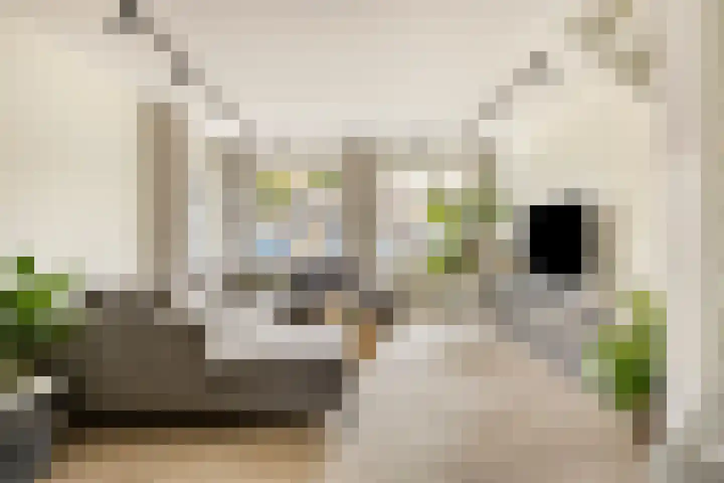 Kruidenlaan 197 Venray thumbnail 7