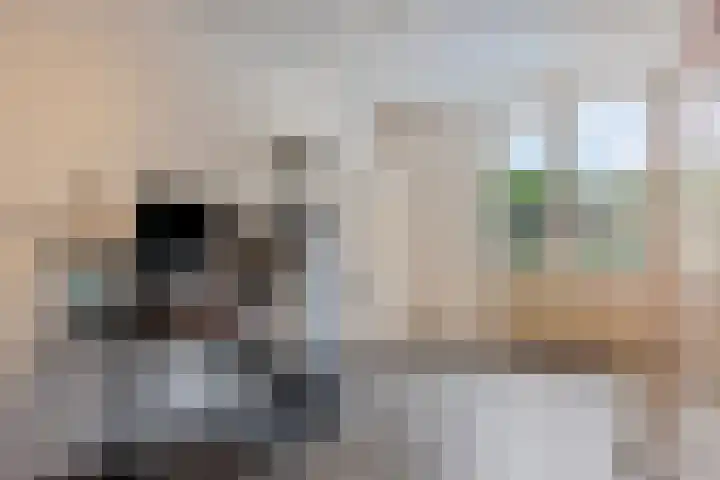 Kruidenlaan 204 Venray thumbnail 18