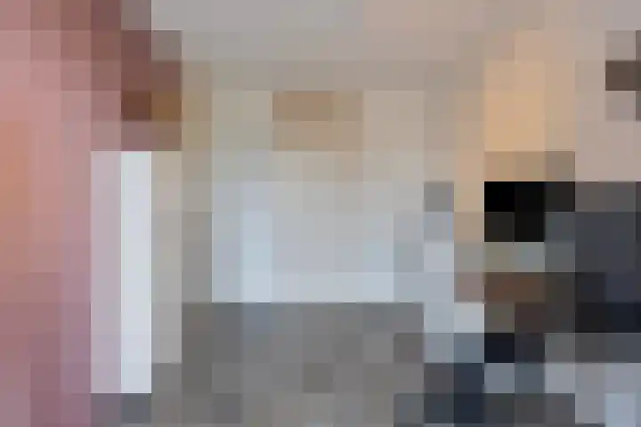 Kruidenlaan 204 Venray thumbnail 19