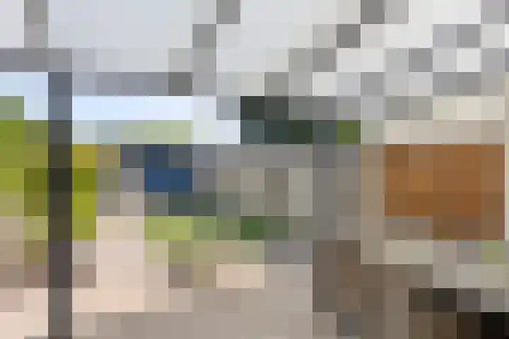 Kruidenlaan 204 Venray thumbnail 20